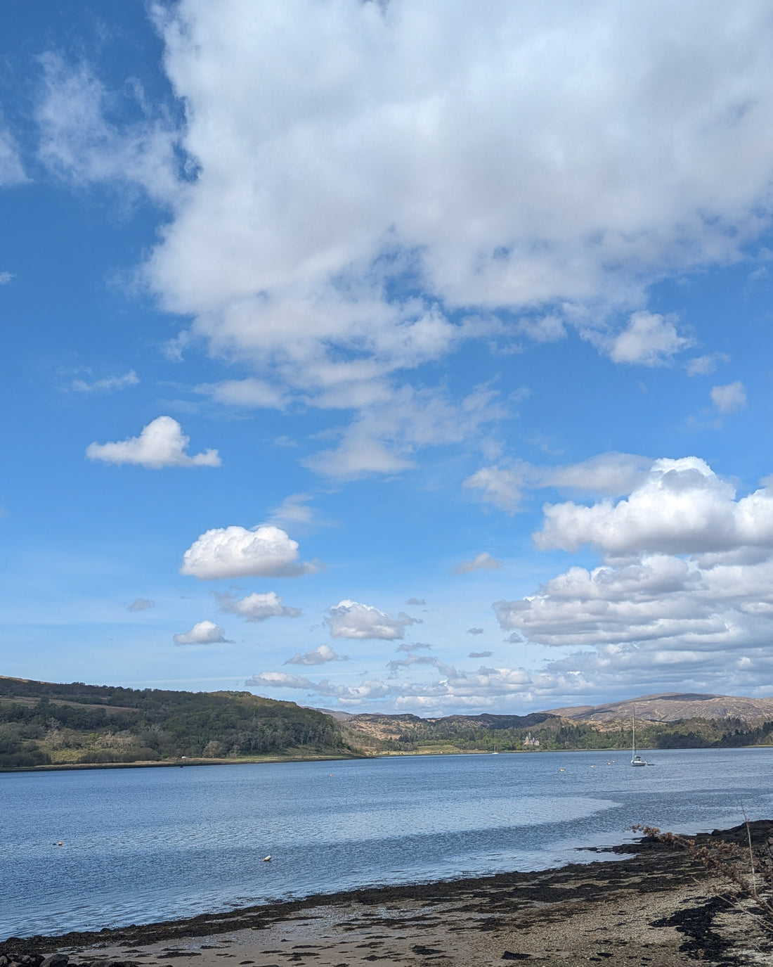 Brora & Conservation Collective