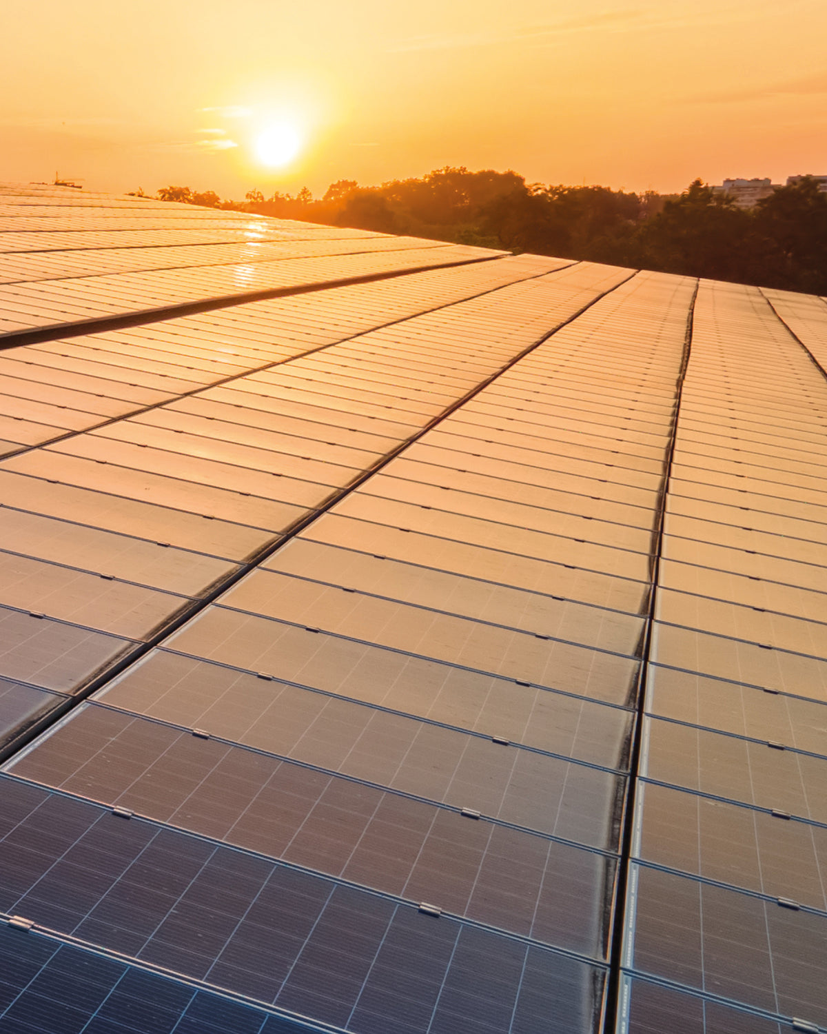 What Does Carbon Neutral Mean?