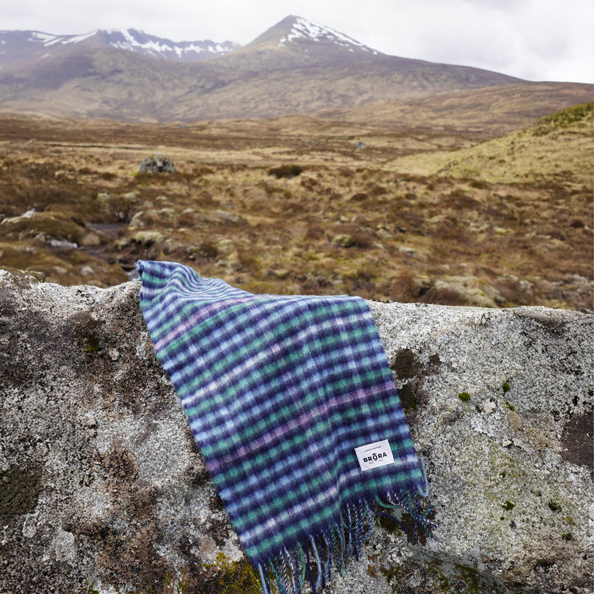 Highlands & Island Environment Foundation