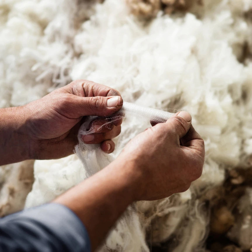 Wonderful Wool