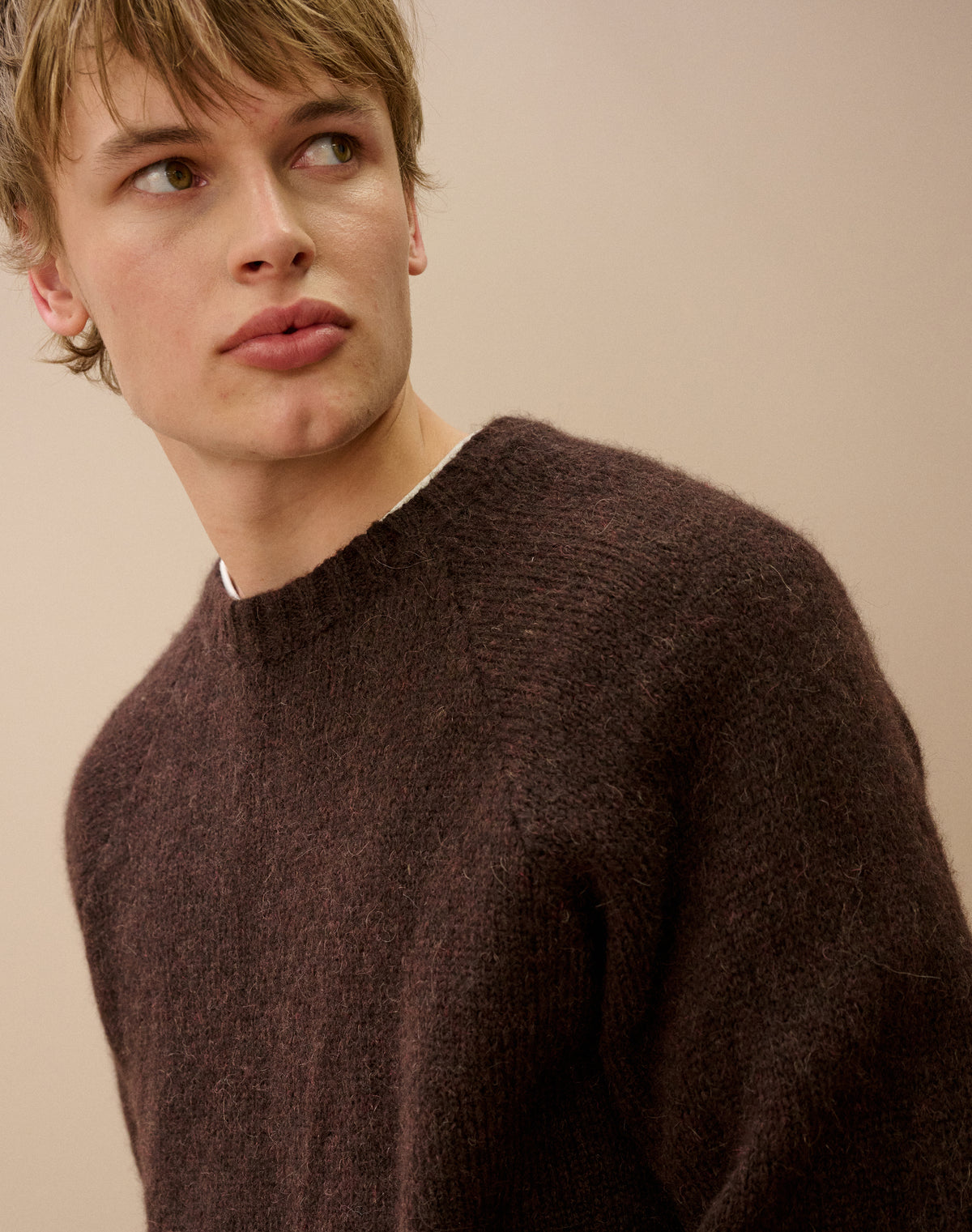 Alpaca Jumper