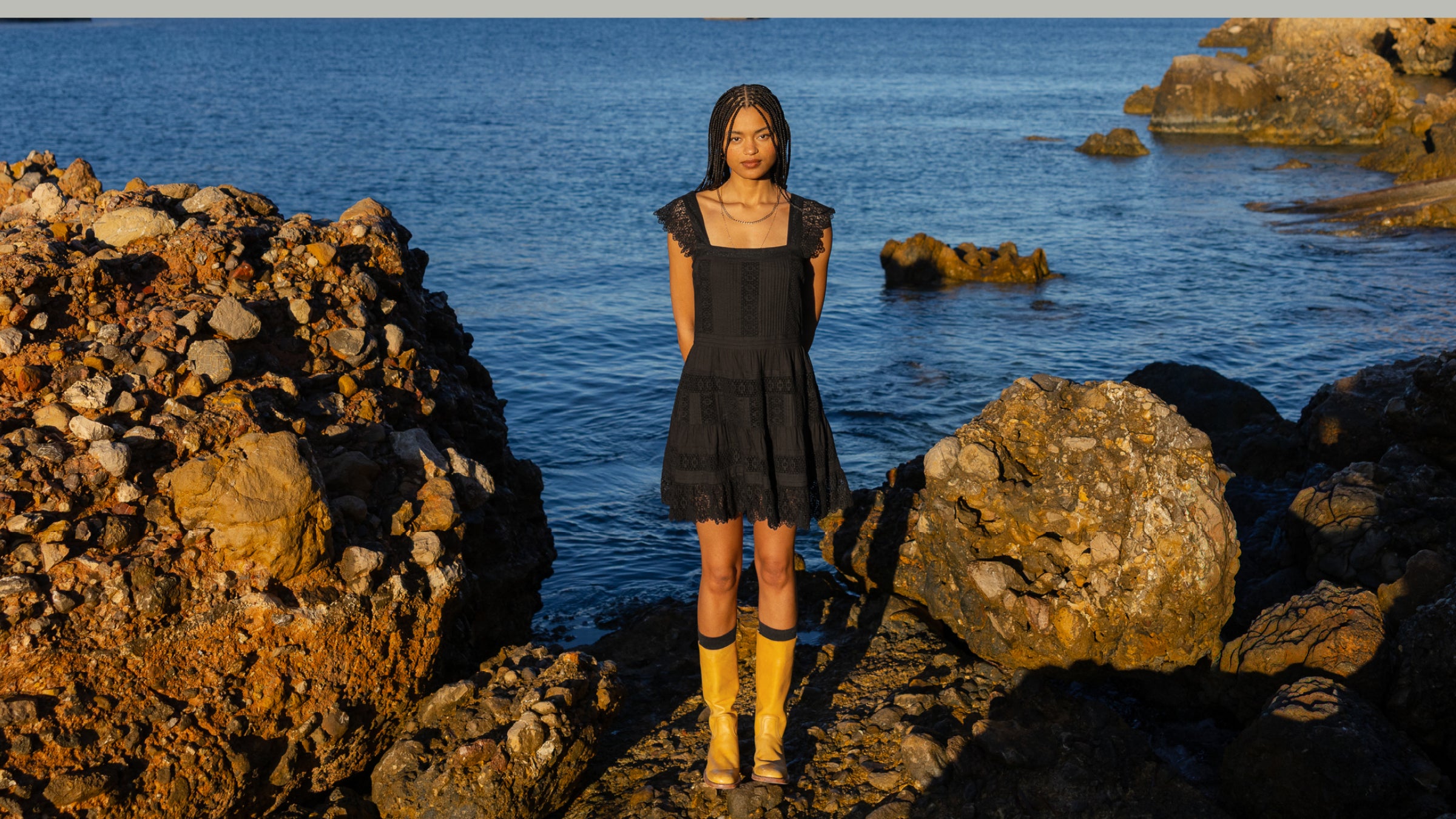 Discover the Collection