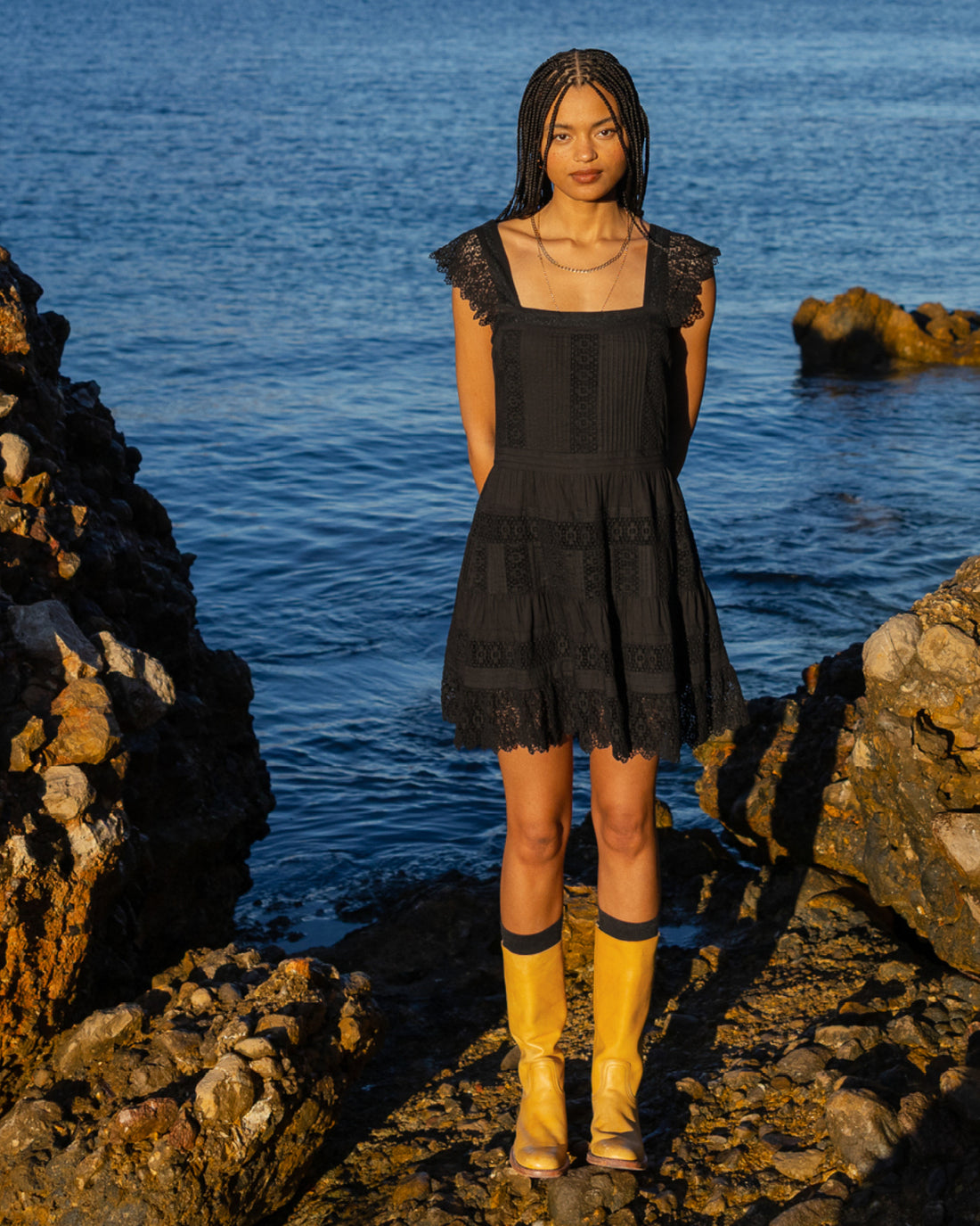 Discover the Collection