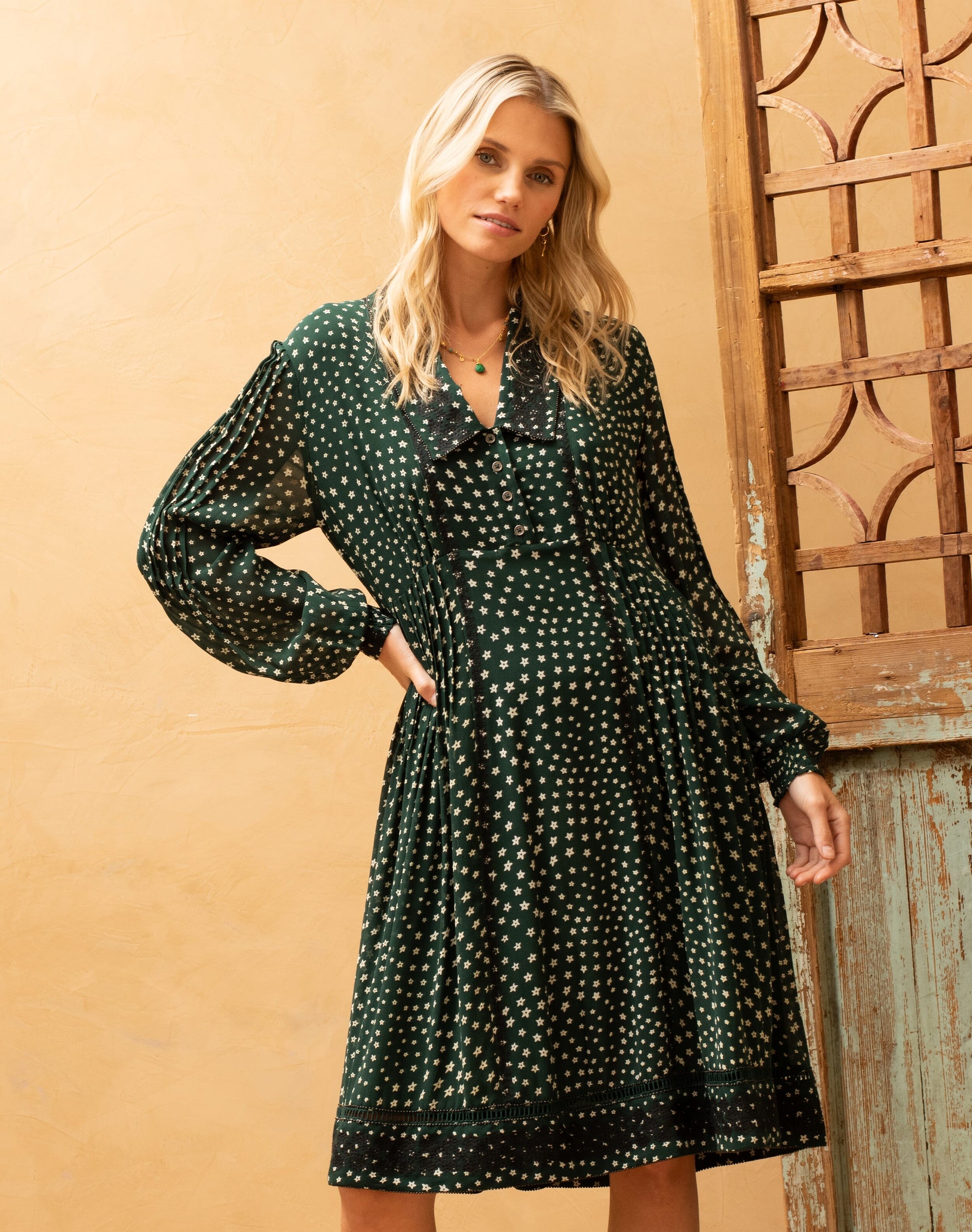 Silk Star Print Embroidered Dress