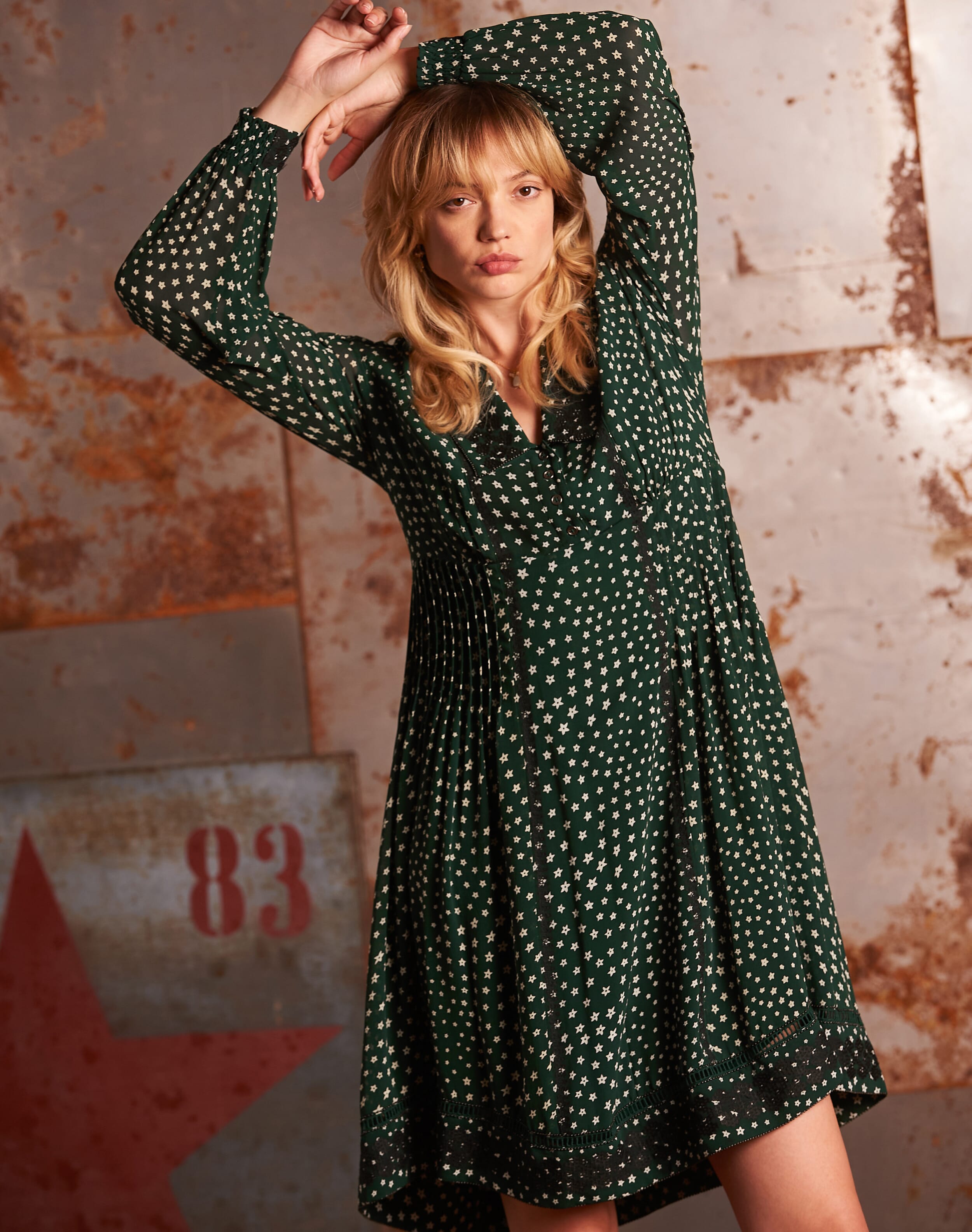 Silk Star Print Embroidered Dress