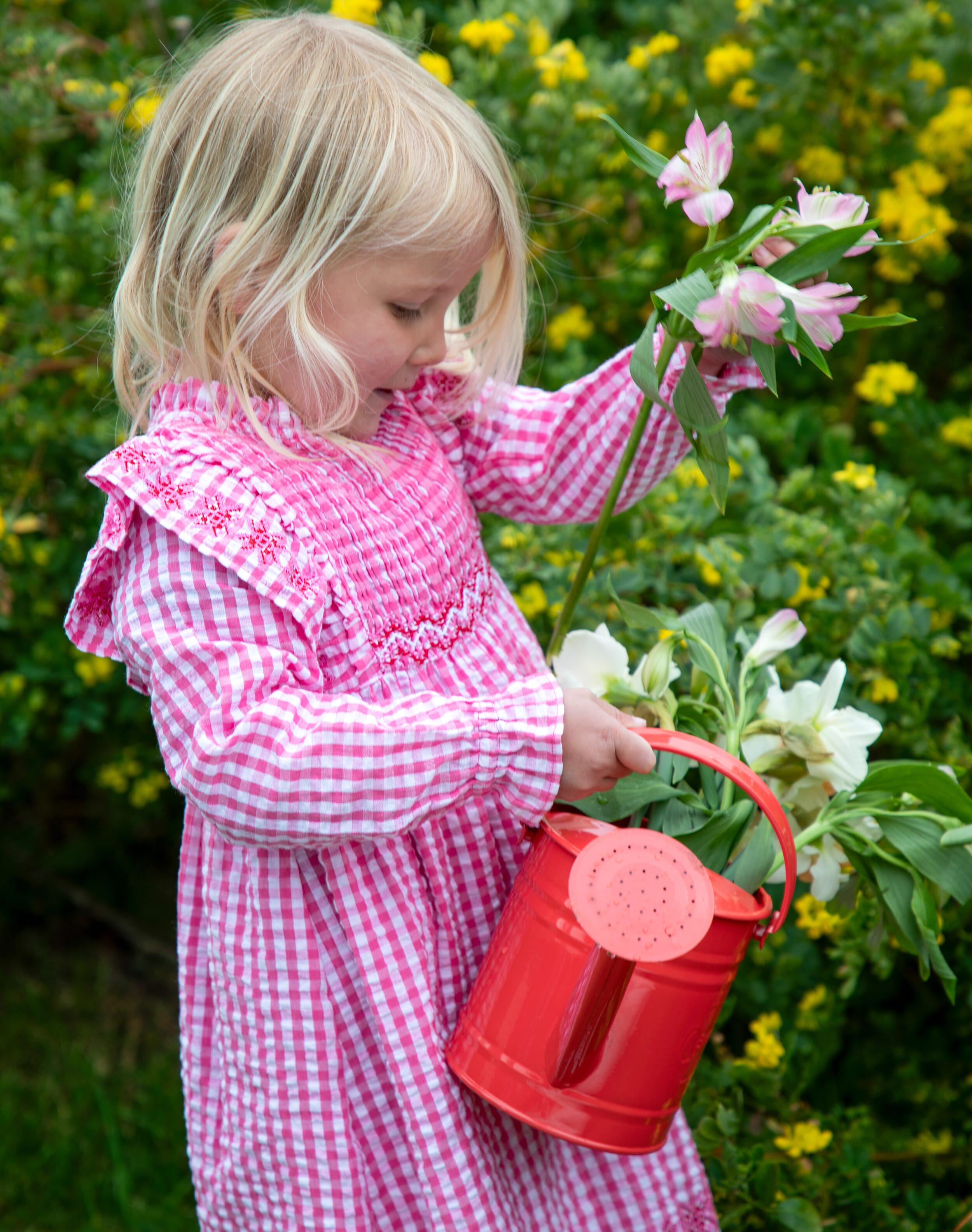 Cotton Gingham Smocked Dress