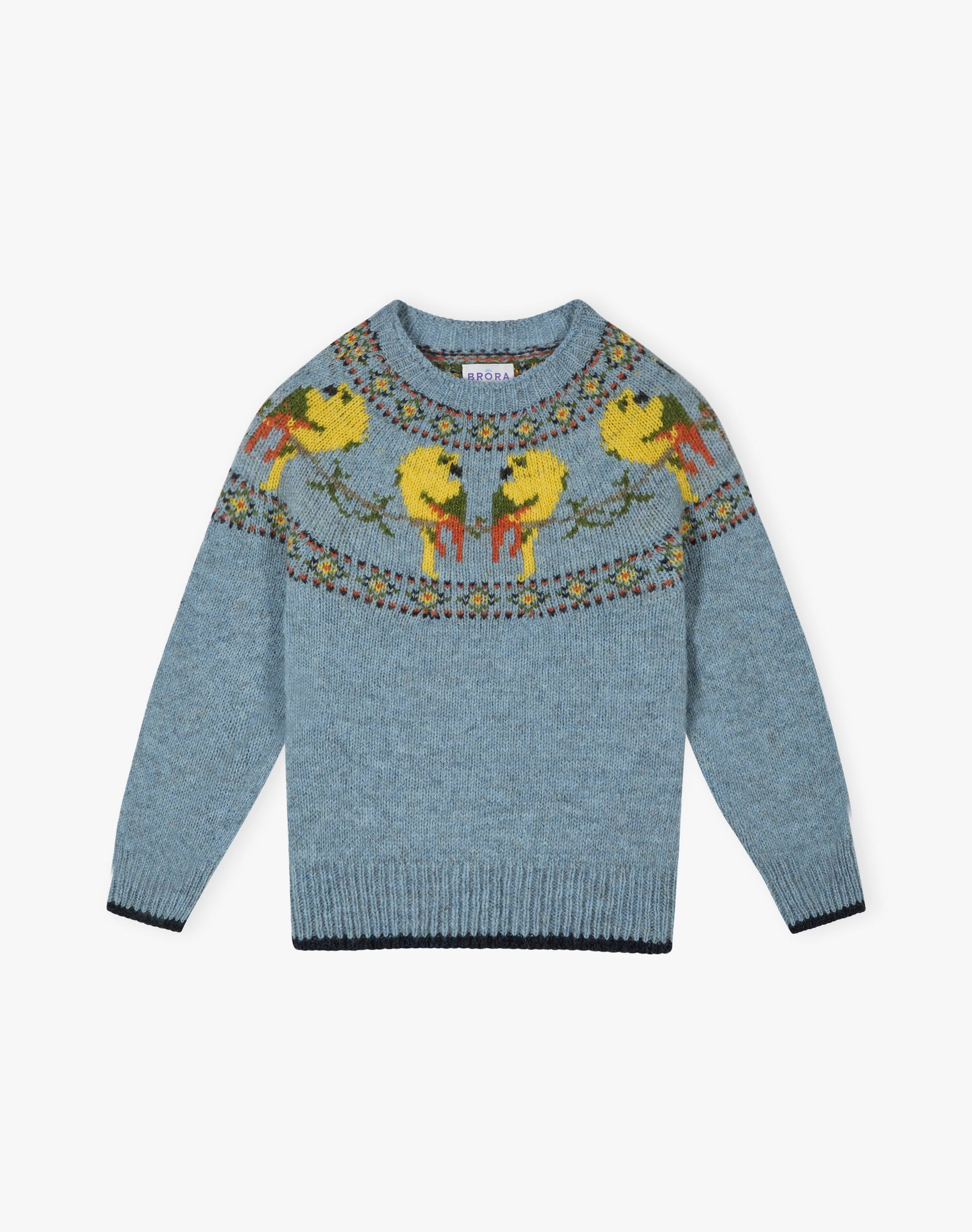 Wool Parrot Jumper