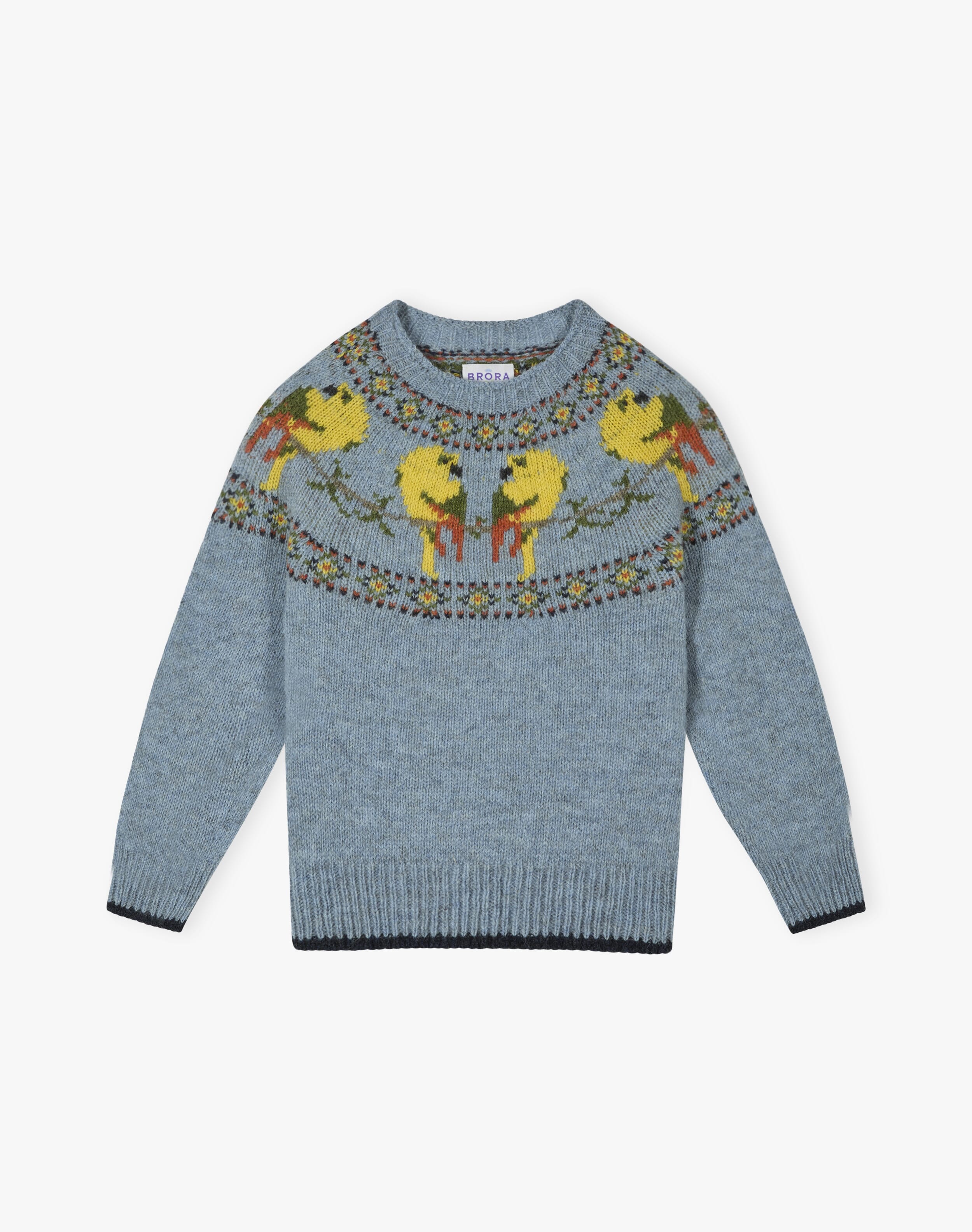 Wool Parrot Jumper
