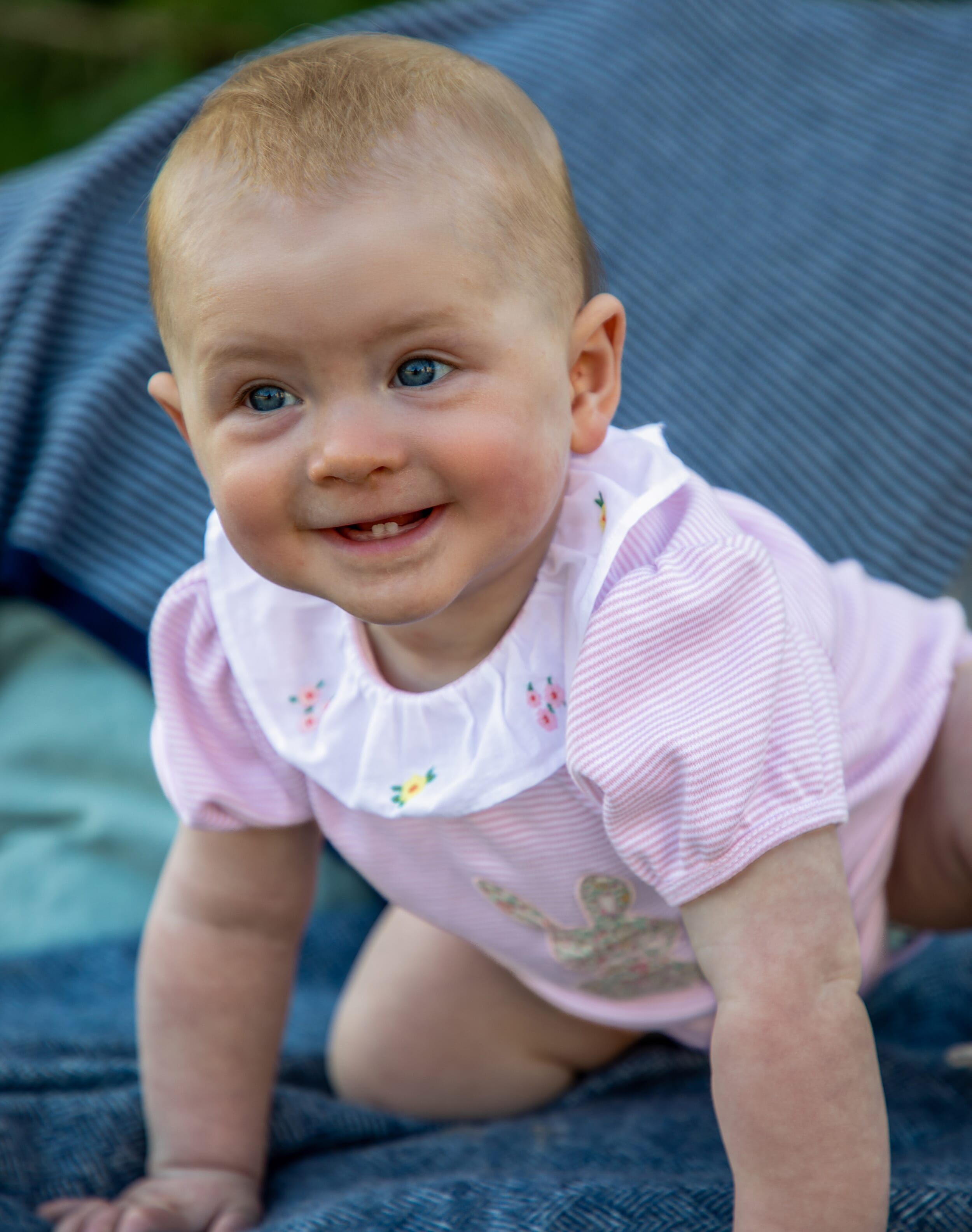Liberty Print Frill Collar Babygro